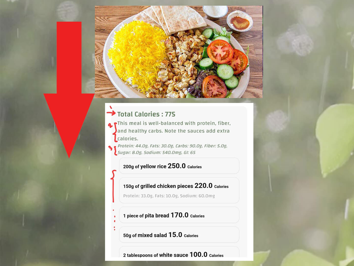 AI calories counter by photo app in action on a chicken shawarma platter.