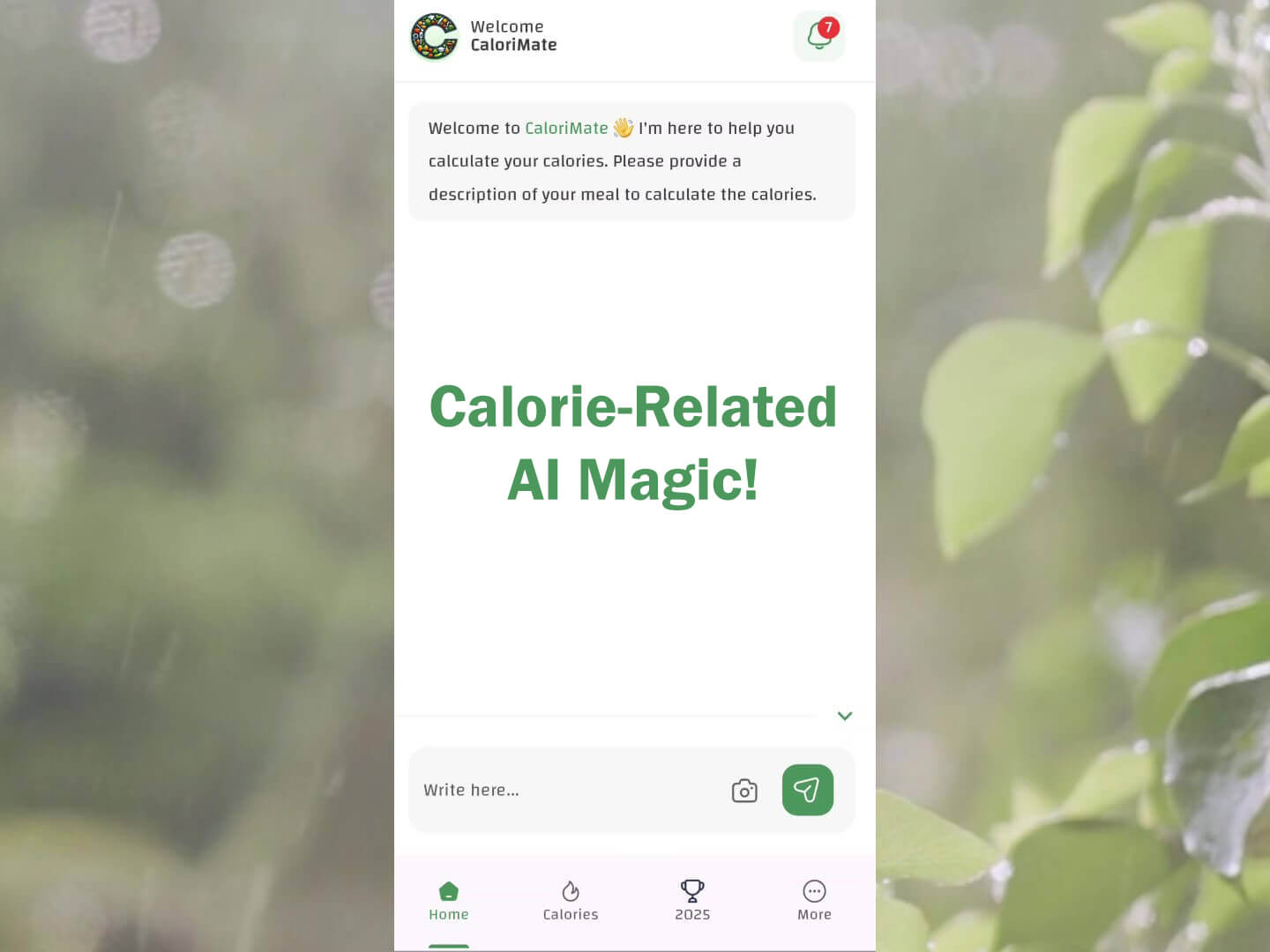 CaloriMate’s magical text box demonstrating why it's the best calorie counter app.